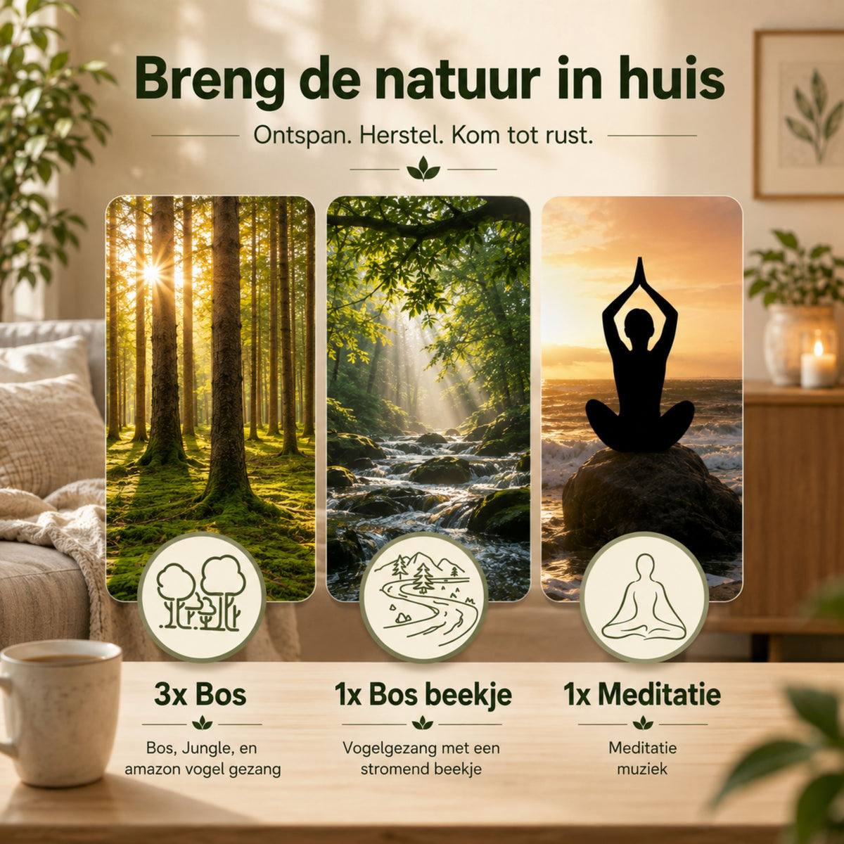 de 5 verschillende geluiden in het vogelhuisje met geluid